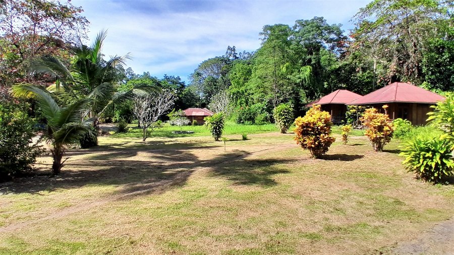 Lorenso_bunaken-garden Lorenso bunaken